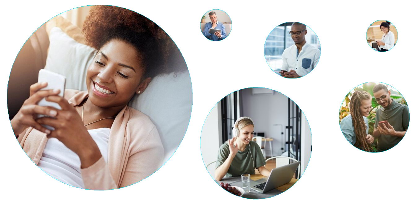 join indigo insights
